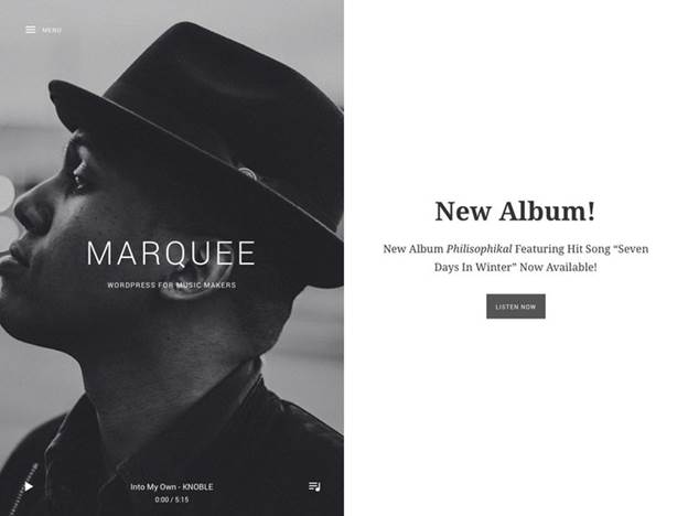 Marquee-Top WordPress Themes for Business and Entrepreneur
