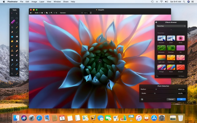 Top Must have Apps for Iphone and Ipad Users-Pixelmator Photo