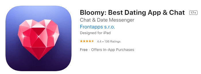 Bloomy-free stranger video chat app for android