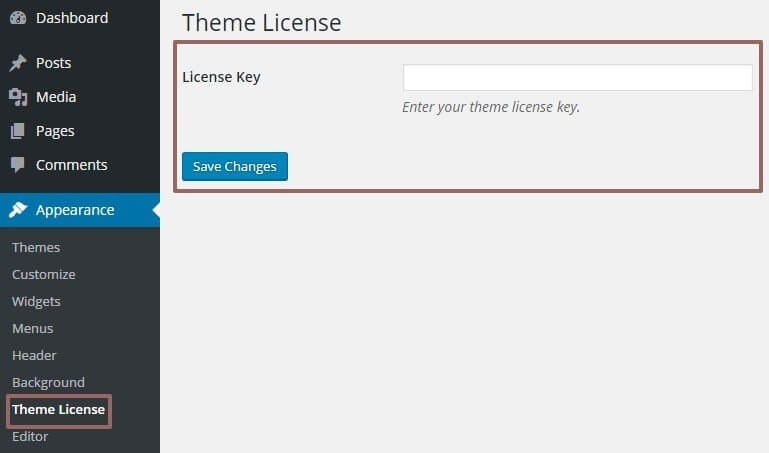 theme license key