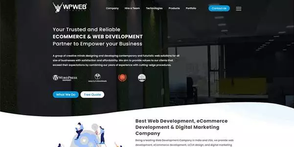WPWeb Infotech-Website Development Company in India