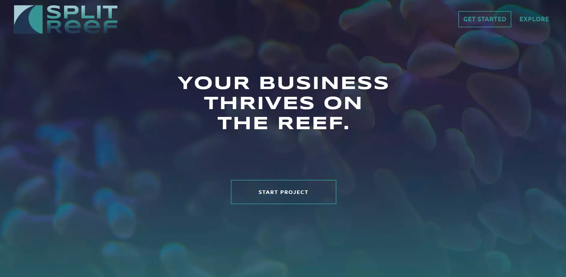 Split Reef-Mobile App Development Companies in Florida